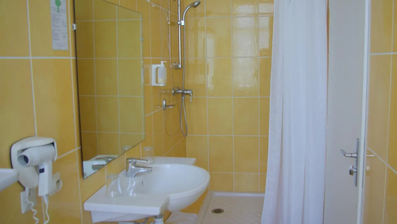 Hotel De L'Europe Lourdes 3*,  France